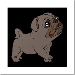 Pug lover Posters and Art